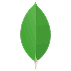 MongoDB